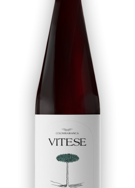 <a href="https://temp.wine-republic.co.uk/product/2020-syrah-vitese-colomba-bianca/">2020 Syrah ‘Vitese’, Colomba Bianca</a>