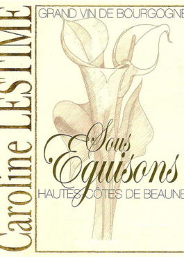 <a href="https://temp.wine-republic.co.uk/product/2020-bourgogne-hautes-cotes-de-beaunesous-eguisons-domaine-jean-noel-gagnard/">2020 Bourgogne Hautes Côtes de Beaune`Sous Eguisons`, Domaine Jean-Noël Gagnard</a>