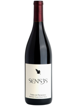 <a href="https://temp.wine-republic.co.uk/product/2019-pinot-noir-terra-de-promissio-senses/">2019 Pinot Noir ‘Terra de Promissio’, Senses</a>
