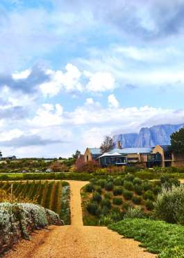 <a href="https://temp.wine-republic.co.uk/product/thursday-16th-october-the-wines-of-california-tasting-2/">Thursday 16th October – The Wines of California Tasting</a>