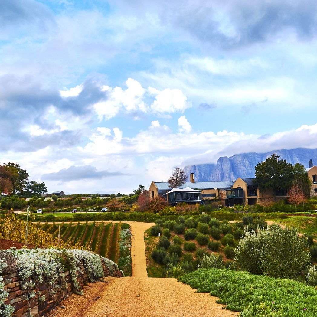 Thursday 16th October – The Wines of California Tasting